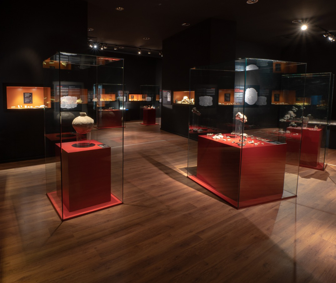 Museo de Nerja en REMED