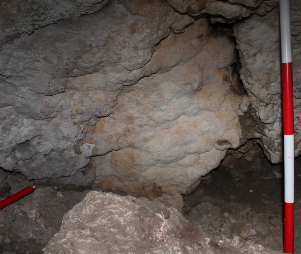 Nueva pintura rupestre en la Cueva de Nerja